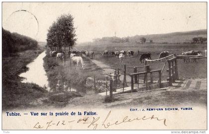 TUBIZE VUE SUR LA PRAIRIE DE LA PALISE  ENFANT CARTE PRECURSEUR DE 1904
