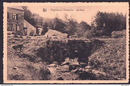 +++ CPA - OIGNIES EN THIERACHE - Viroinval - Les Aises  //