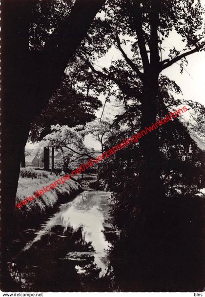 Schrans gracht - Vorselaar