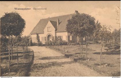 WAASMUNSTER      DENNENHOORD