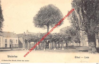 Westerloo - Tilleul Linde - Westerlo
