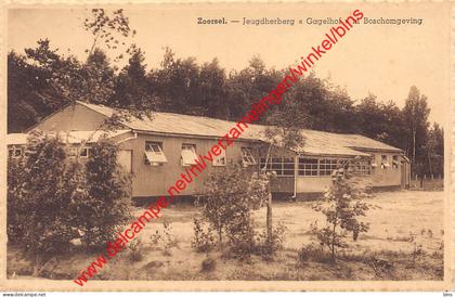 Jeugdherberg Gagelhof in Boschomgeving - Zoersel