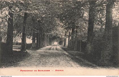 [-5%] BELGIQUE - Zwalm - Pensionnat De Beirlegem - Avenue - Carte postale ancienne