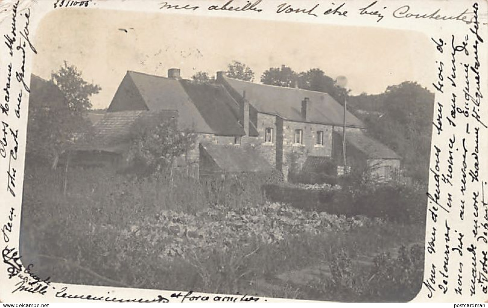 BelgIque - ASSESSE (Namur) Carte Photo - Année 1905