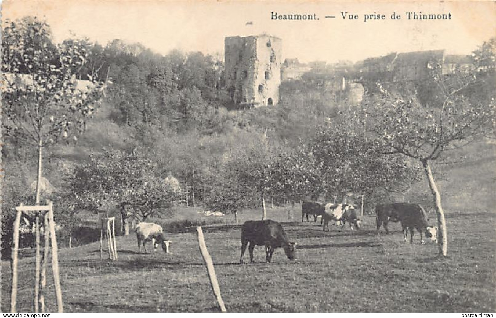Belgique - BEAUMONT (Hainaut) Vue prise de Thinmont