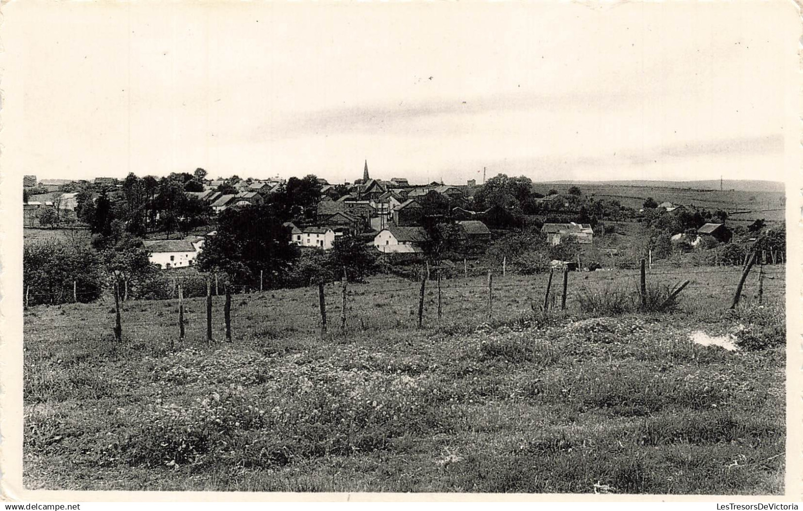 BELGIQUE - Bertogne sur Ourthe - Hautes Falizes - Panorama - Village - Champ - Nels - Thill - Carte postale