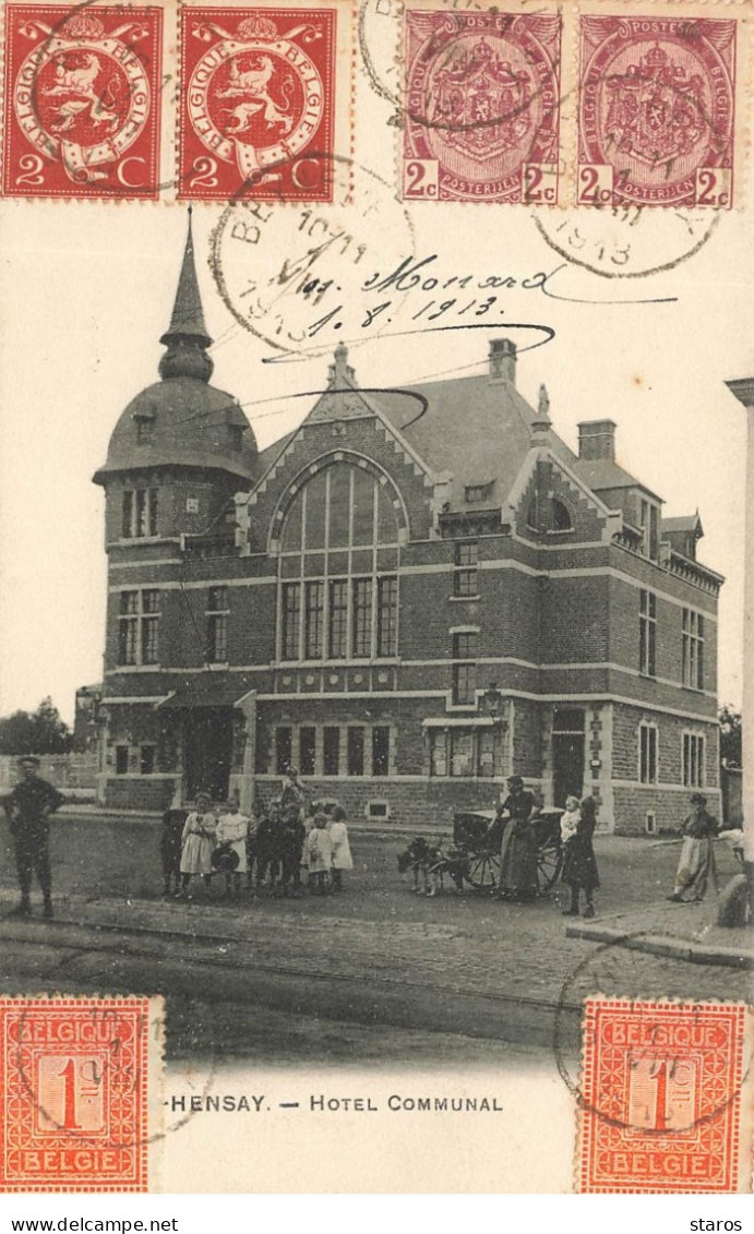 Belgique - BEYNE-HEUSAY - Hôtel Communal - Attelage de Chien