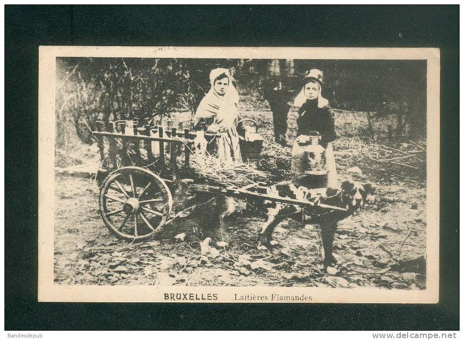 Belgique - Bruxelles - Laitières flamandes ( animée laitière attelage chien voyagé en 1911)