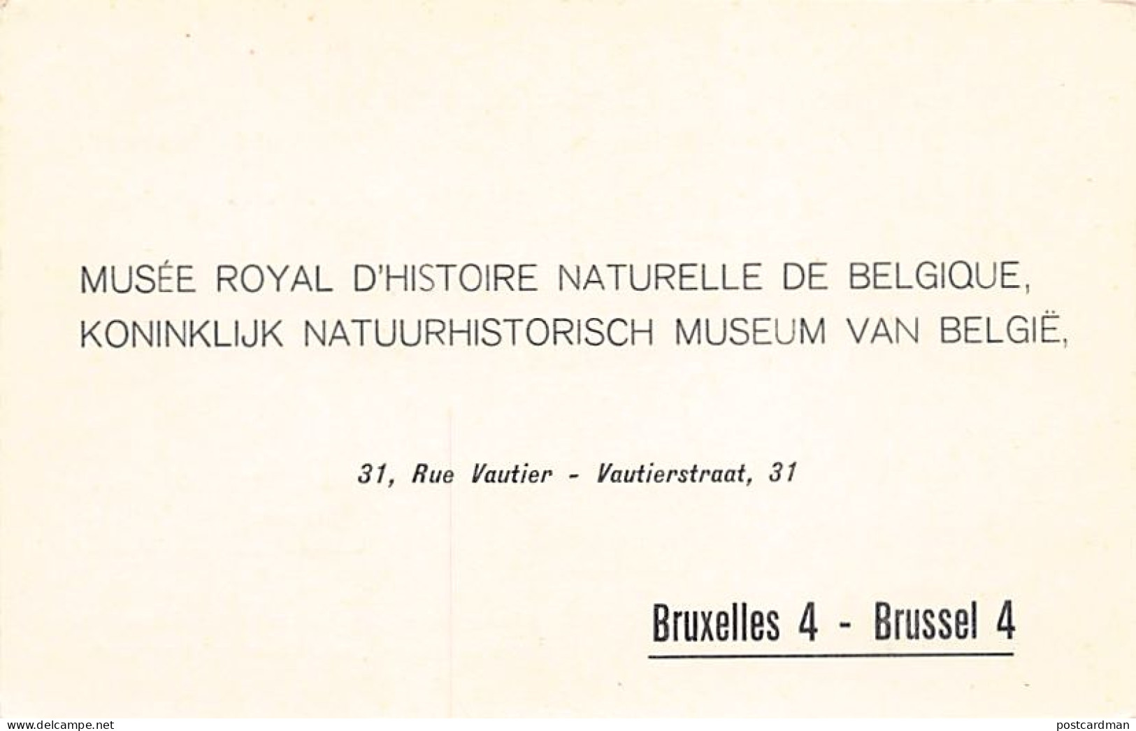 Belgique - BRUXELLES - Musée Royal d'Histoire Naturelle de Belgique - 31 rue Vautier