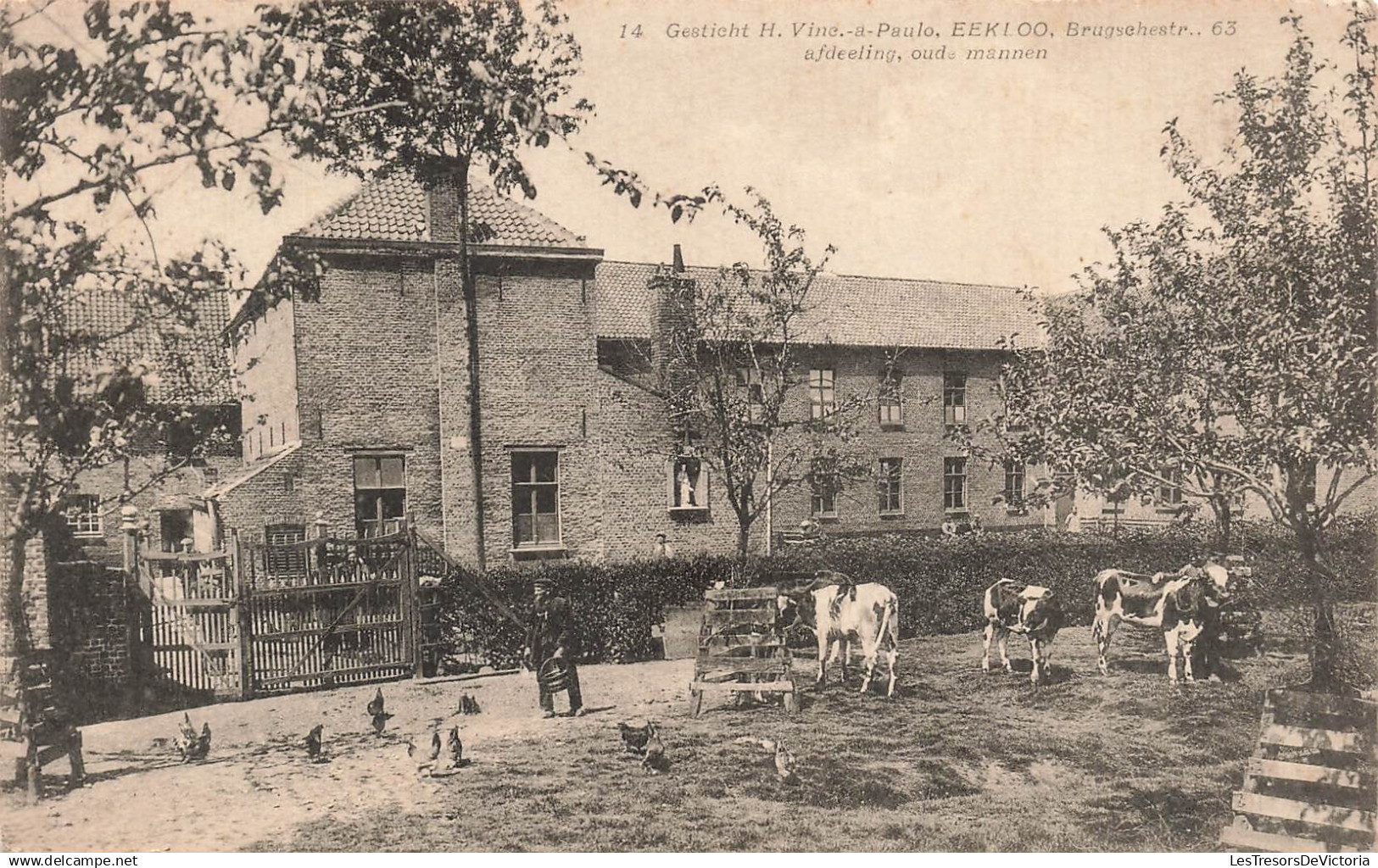 BELGIQUE - EEKLOO - Gesticht H. Vine a Paulo Brugschestr - Afdeeling oude mannen - Carte Postale Ancienne