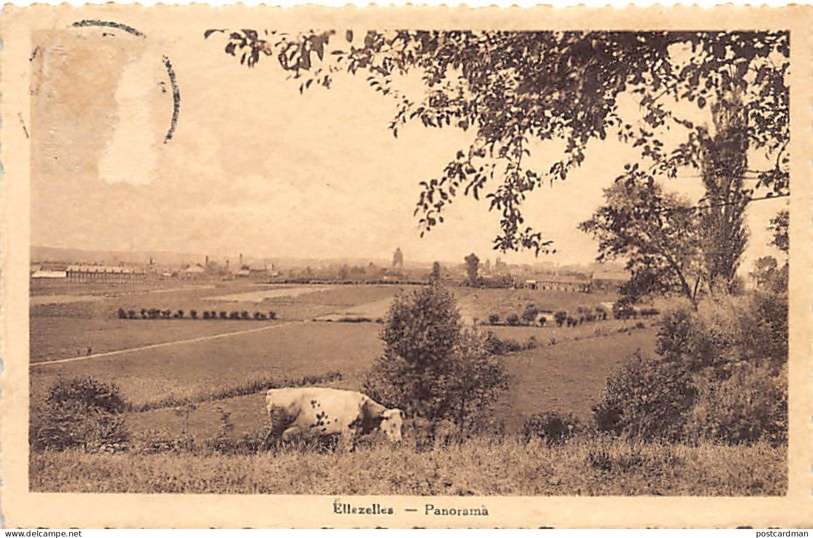 Belgique - ELLEZELLES (Hainaut) Panorama - VOIR LES SCANS POUR L'ÉTAT