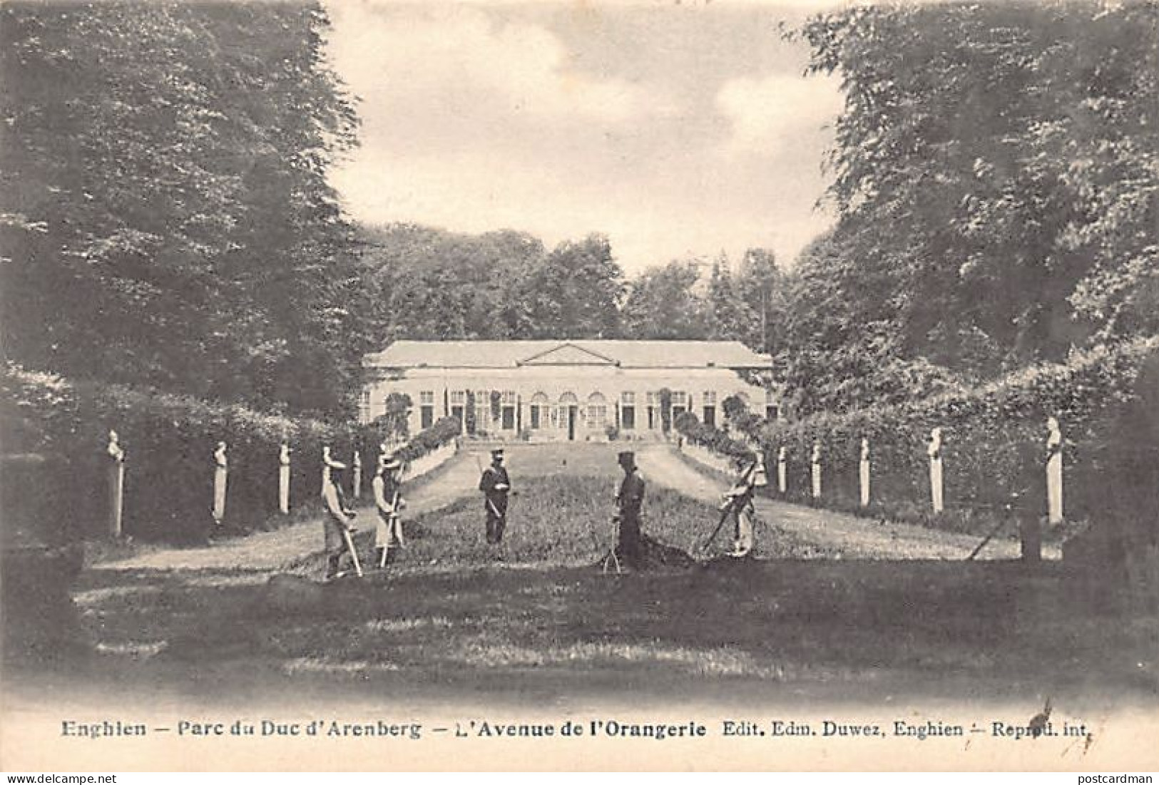Belgique - ENGHIEN Edingen (Hainaut) Parc du Duc d'Arenberg - L'avenue de l'Orangerie