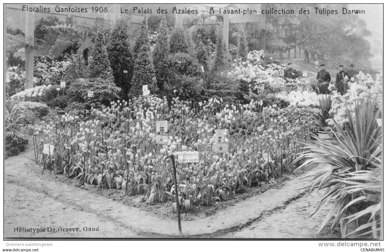 Belgique - FLANDRE ORIENTALE - GAND - Floralie 1913 palais des azalees.