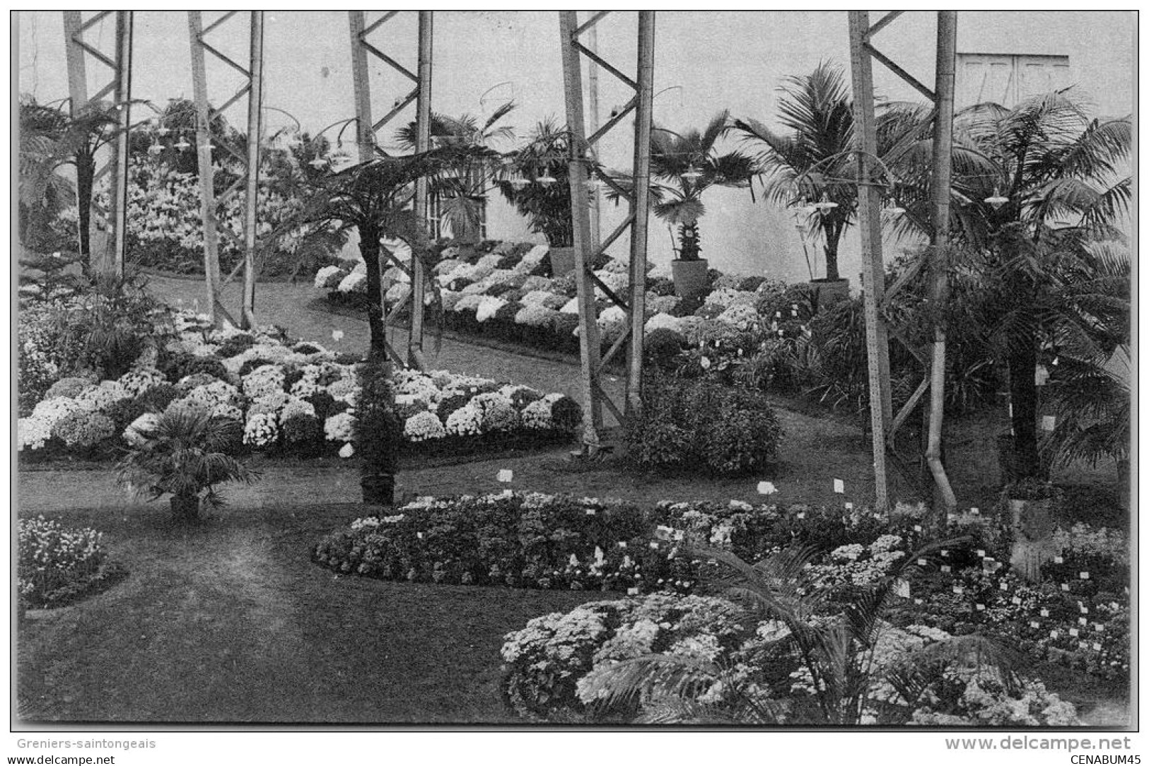 Belgique - FLANDRE ORIENTALE - GAND - Floralie 1913 vue de massifs