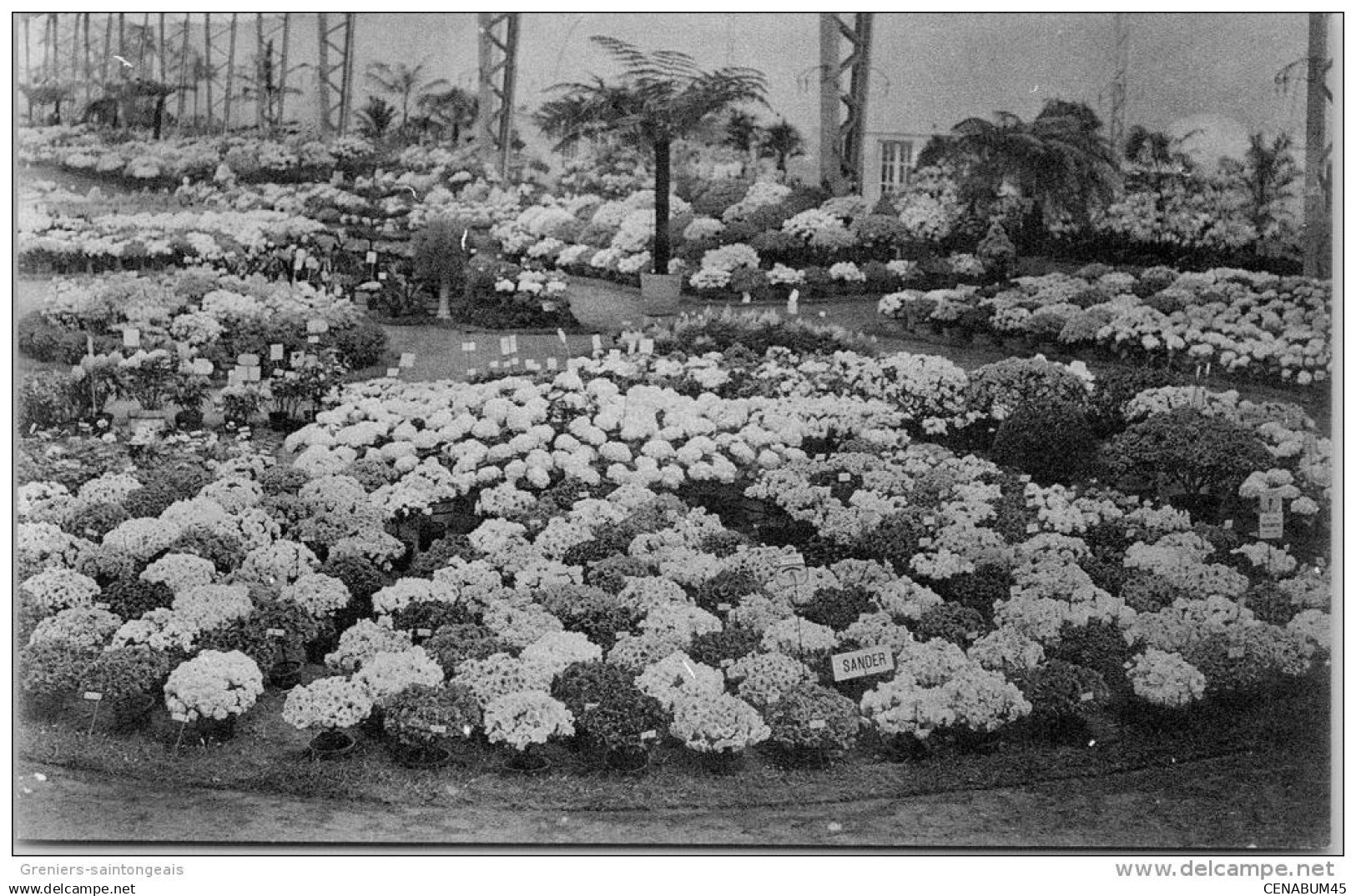 Belgique - FLANDRE ORIENTALE - GAND - Floralie 1913 vue partielle.