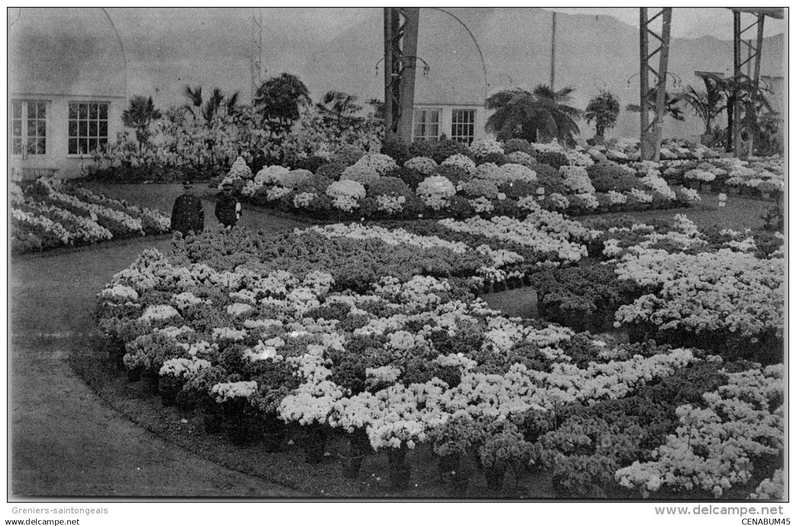 Belgique - FLANDRE ORIENTALE - GAND - Floralie 1913 vue partielle