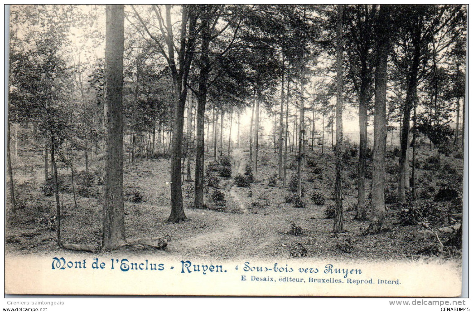 Belgique - FLANDRE ORIENTALE - RUYEN -  sous bois vers Ruyen