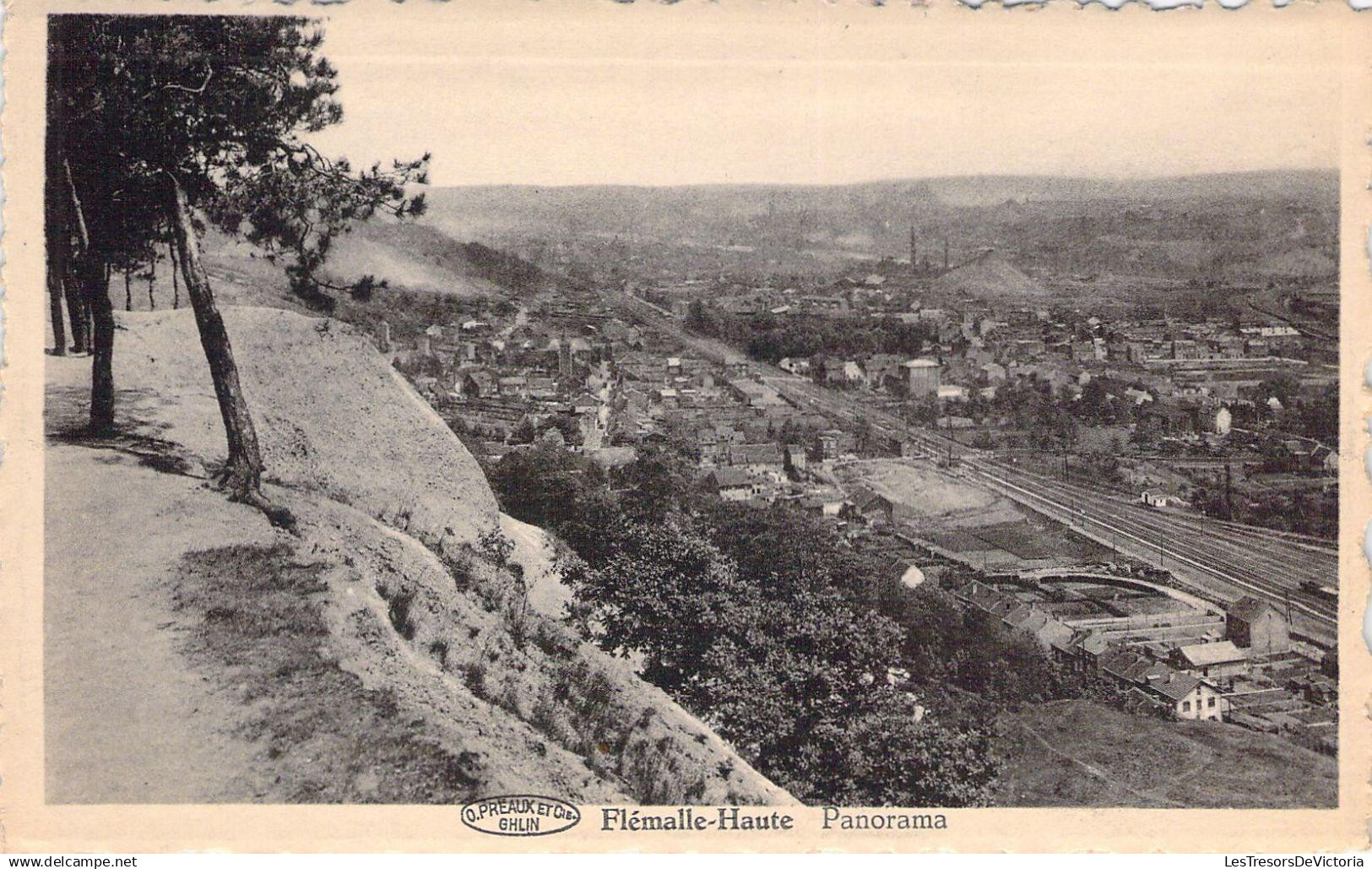 BELGIQUE - FLEMALLE - Panorama - Carte Postale Ancienne