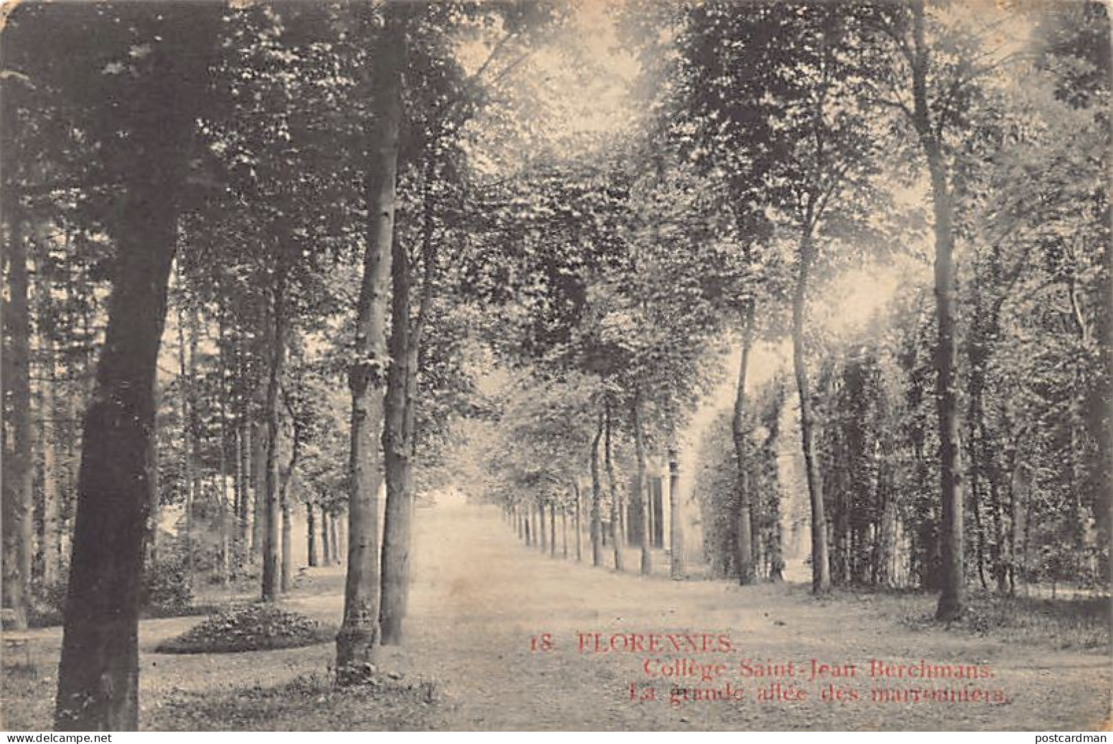 Belgique - FLORENNES (Namur) Collège Saint-Jean Berehmans - La grande allée des marronniers