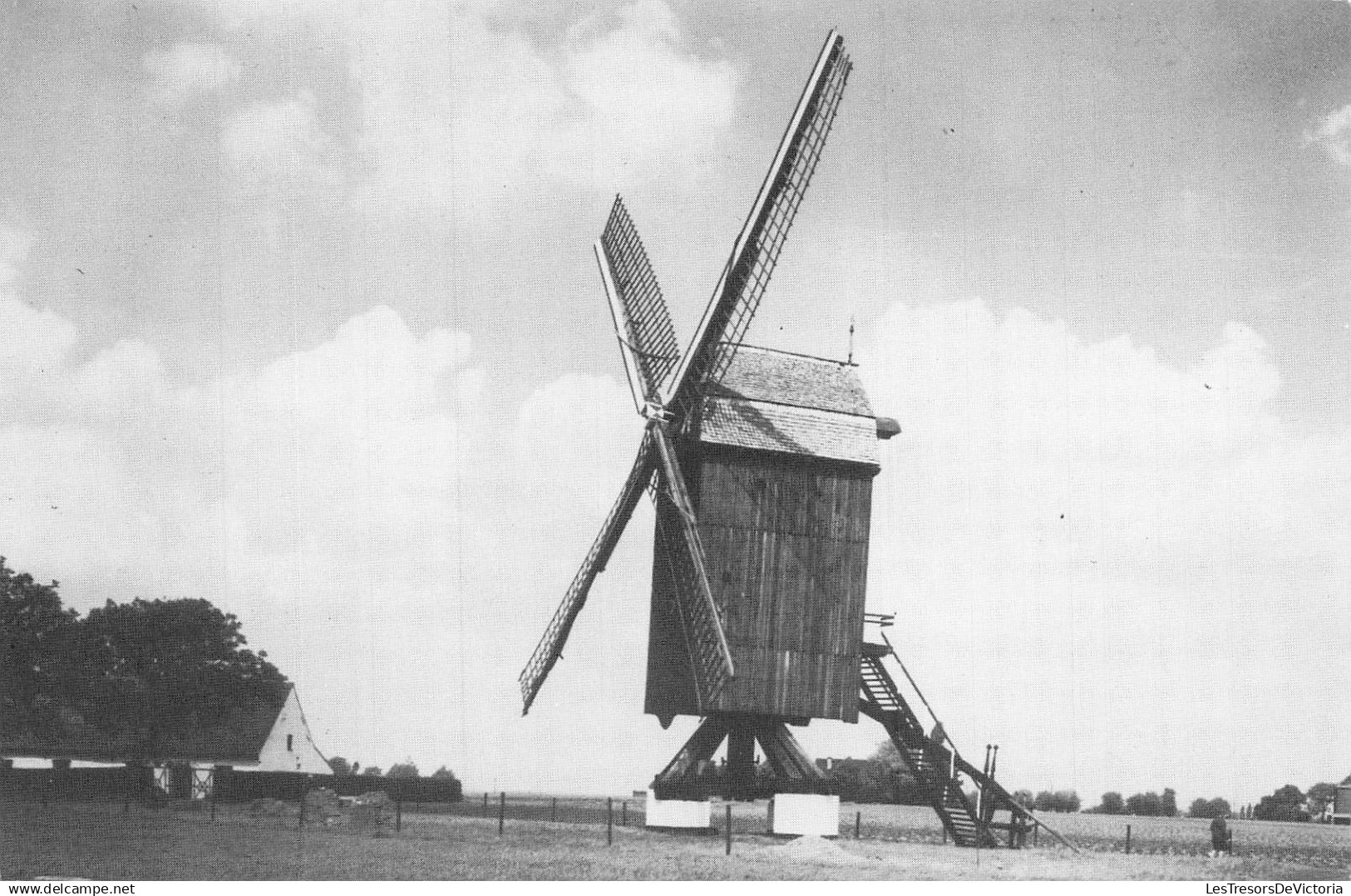 BELGIQUE - Huise - Zingem - Koutermolen - Anno 1971 - Foto Studio Claerhout - Carte Postale Ancienne