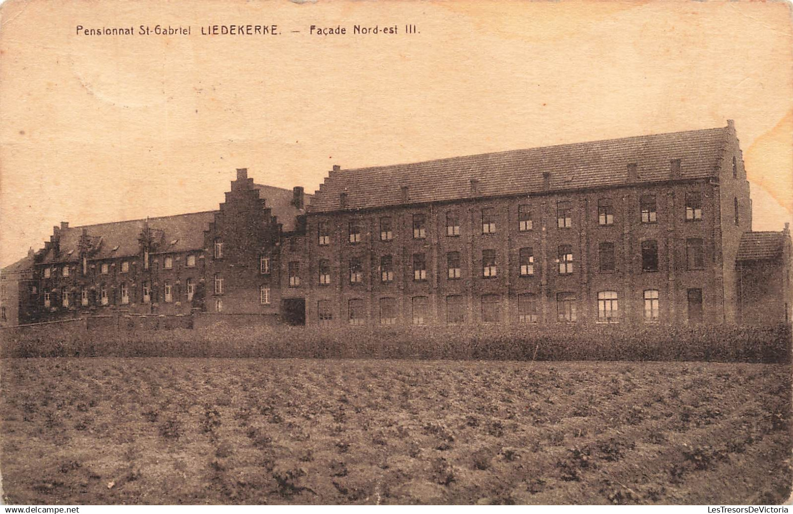 BELGIQUE - Liedekerke - pensionnat St Gabriel - institution - potager - E Desaix - Carte Postale Ancienne