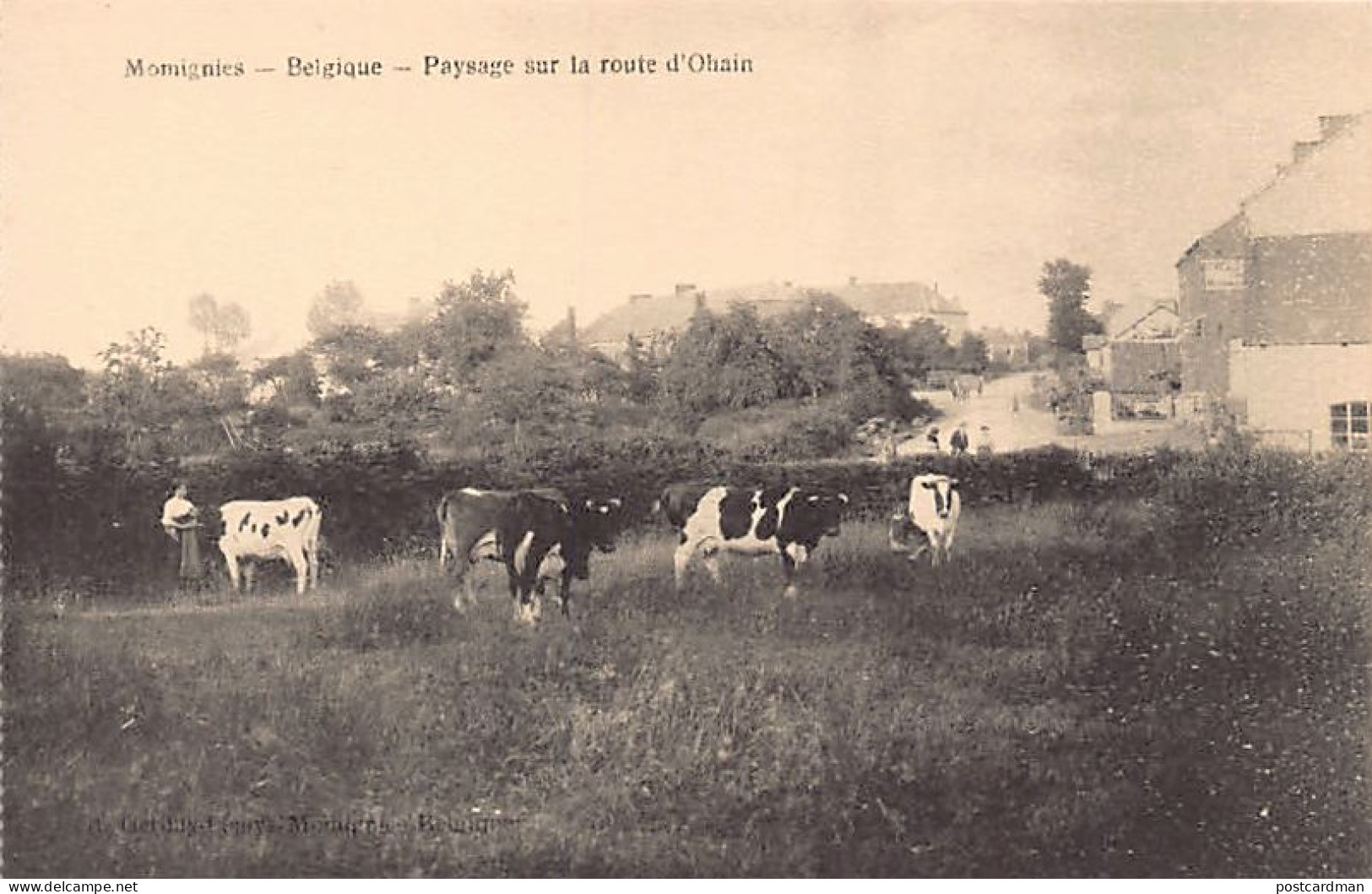 Belgique - MOMIGNIES (Hainaut) Paysage sur la route d'Ohain