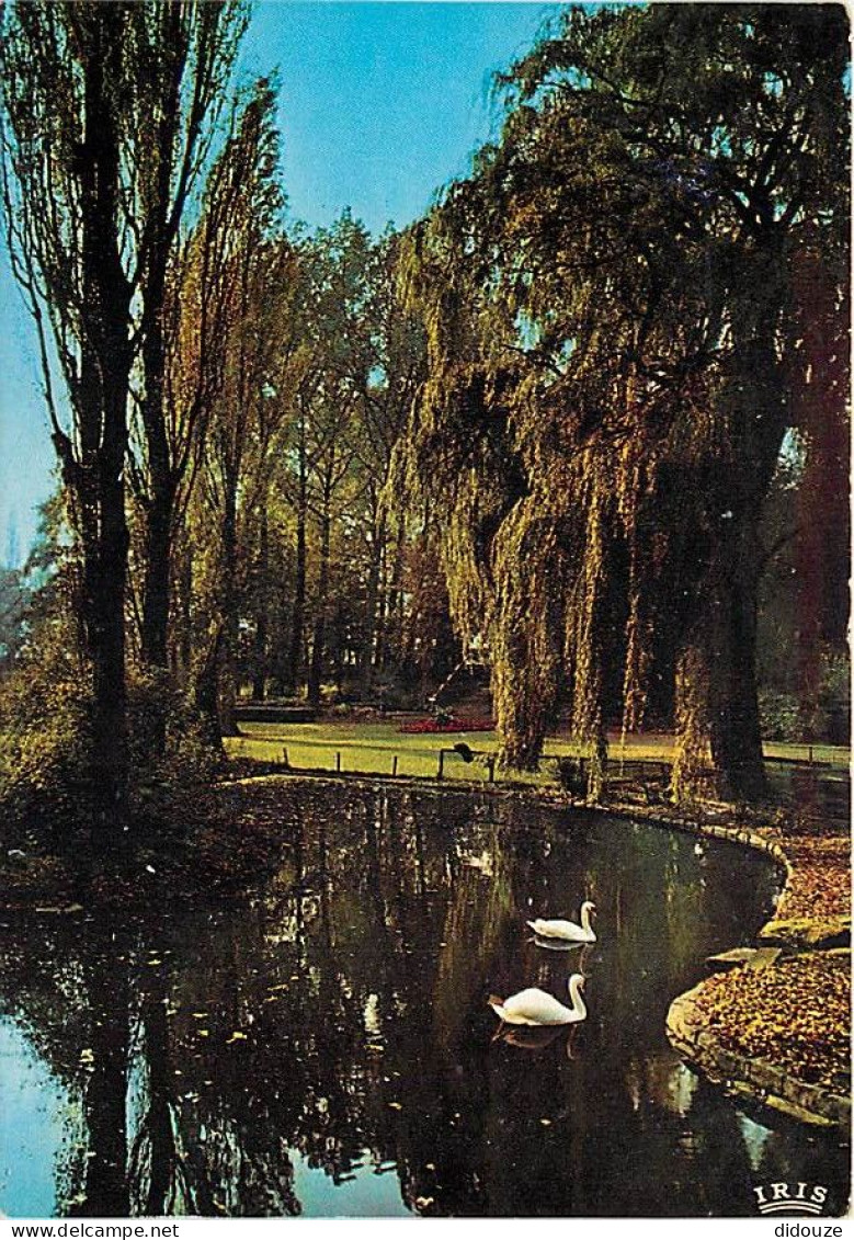 Belgique - Mouscron - Le parc - CPM - Voir Scans Recto-Verso