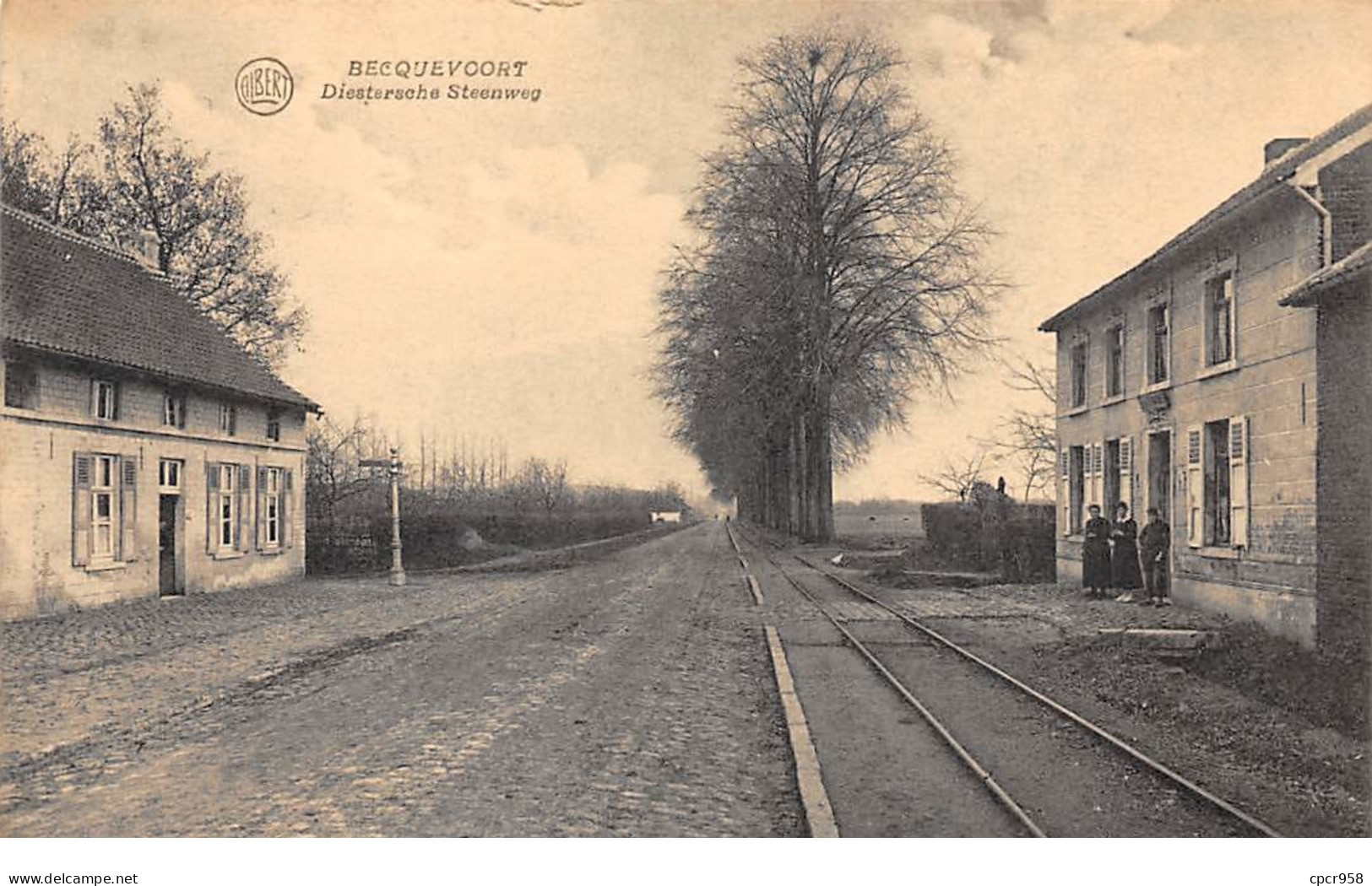 Belgique - N°65908 - Bekkevoort - Statie - Becquevoort - Diestersche Steenweg