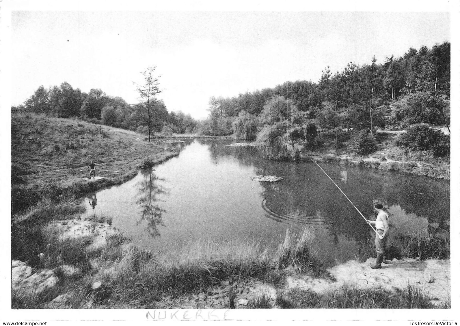 BELGIQUE - Nukerke - Visvijver - o A Cardon - Hoffman - Nels - pêche - étang - forêt - eau - Carte postale