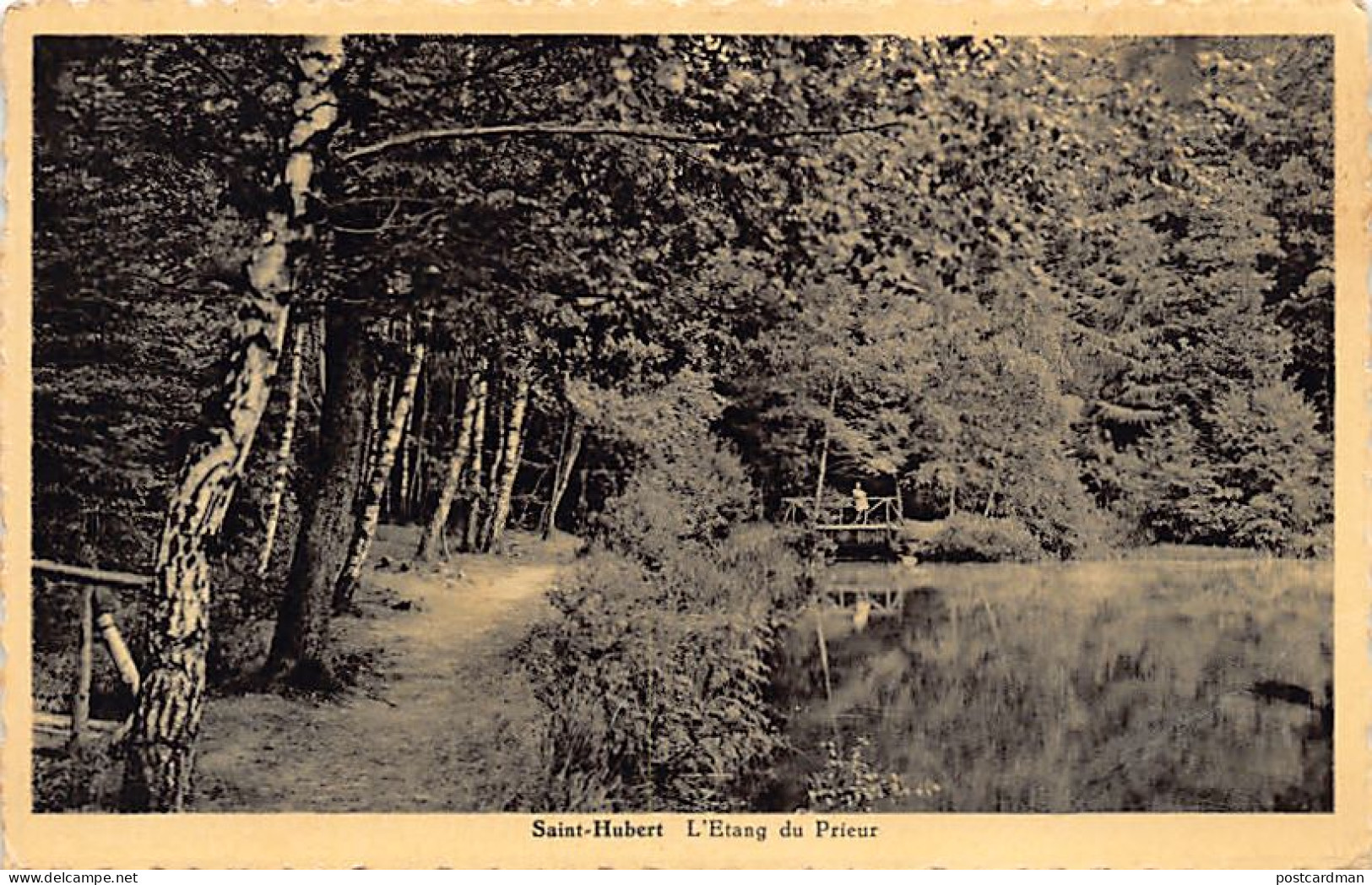 Belgique - SAINT-HUBERT (Lux.) L'étang du prieur