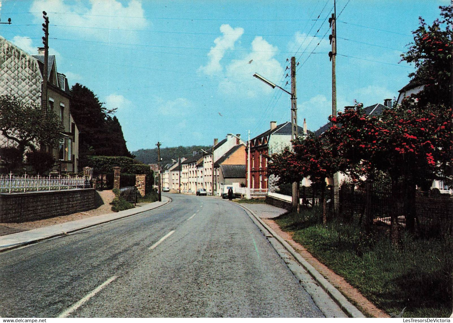 BELGIQUE - Saint Léger - Rue d'Arlon - Arbres - Habitats - Carte postale
