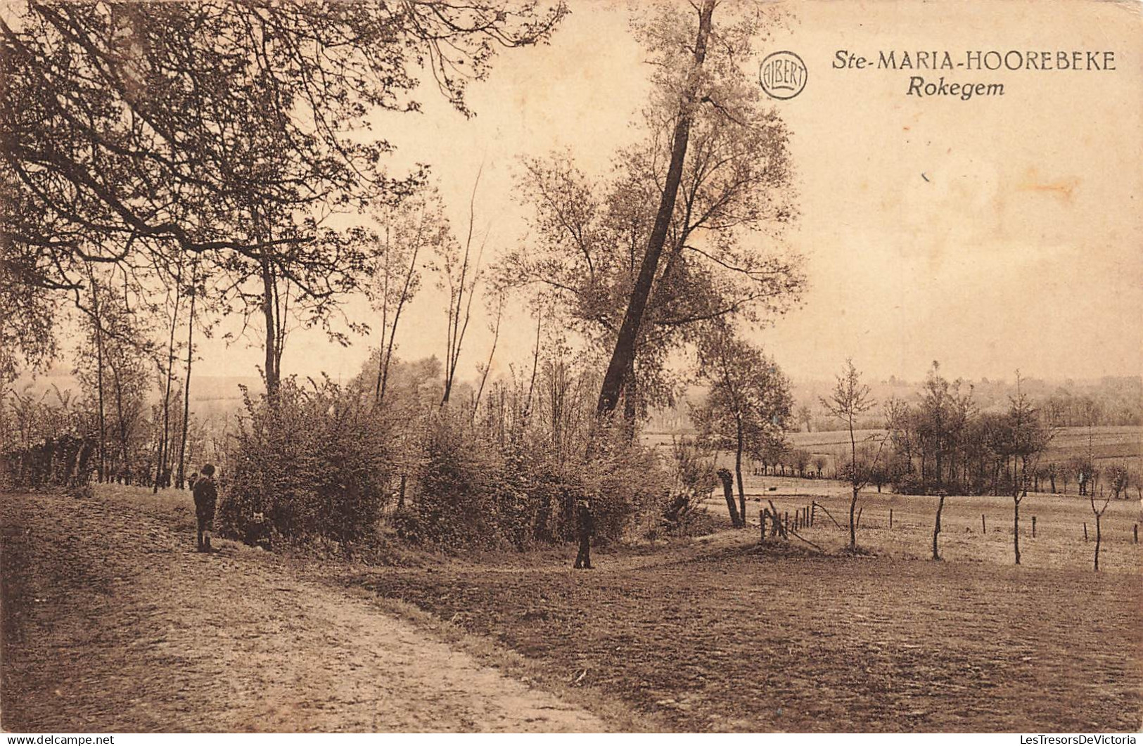 BELGIQUE - Ste Maria Hoorebeke  - Rokegem - paysage rural - champ - Clôture - animé - Carte Postale ancienne