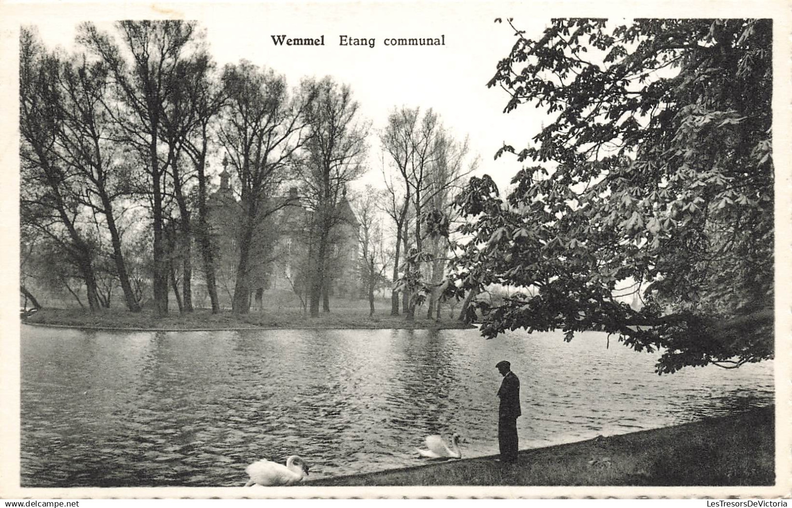BELGIQUE - Wemmel - Etang Communal - cygne - animé - arbre - Edit J Voordecker - Carte Postale Ancienne