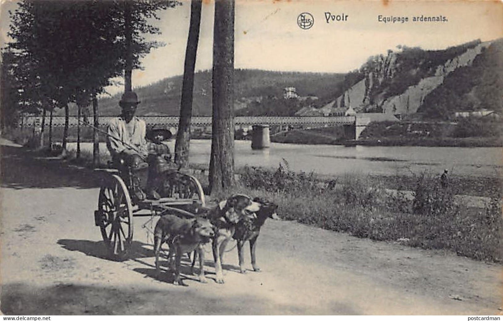 Belgique - Yvoir (Namur) Equipage Ardennais - Attelage de Chiens - Vues de la Vallée de la Meuse - Ed. Nels Série Yvoir