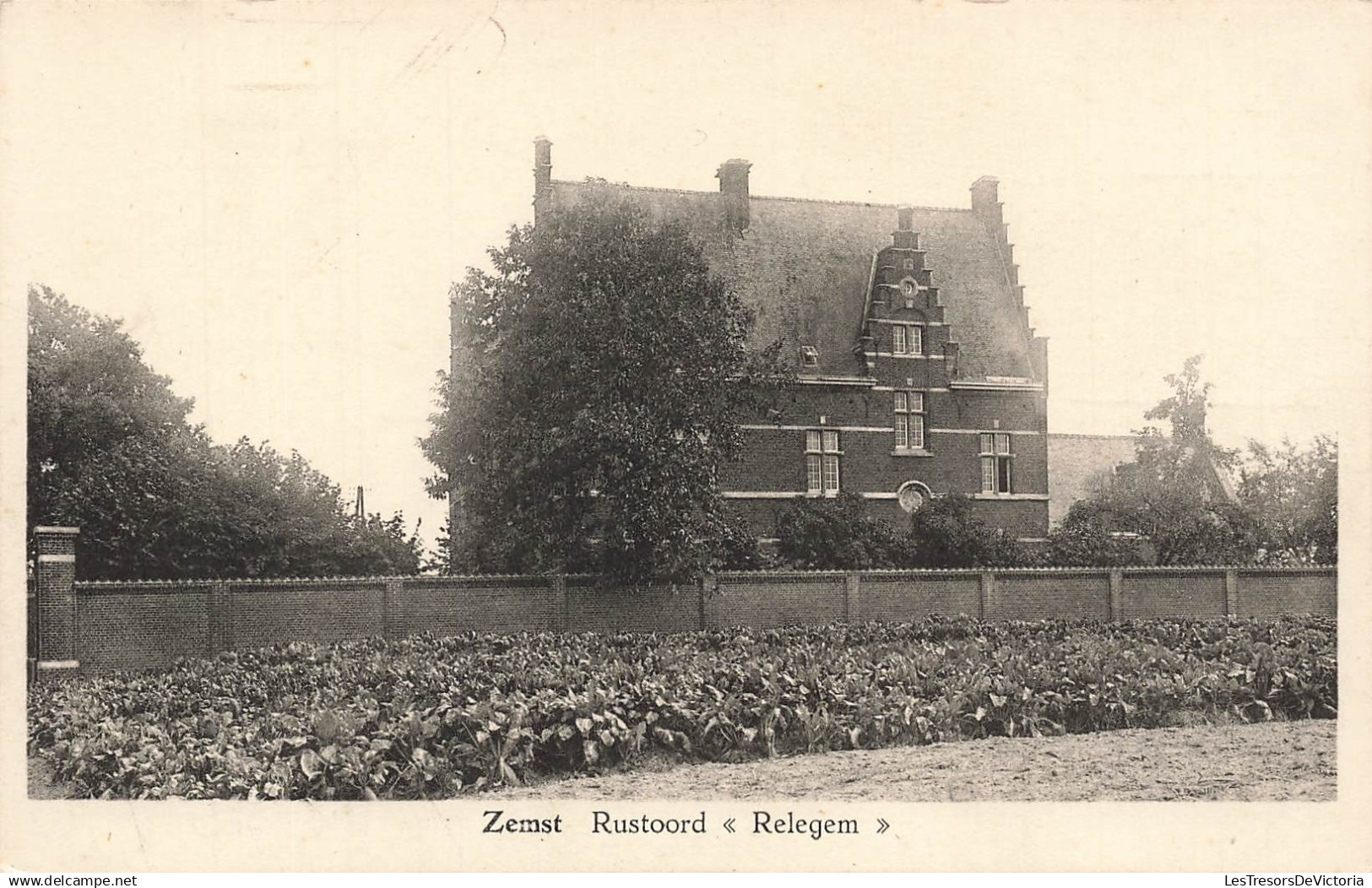 BELGIQUE - Zemst Rustoord - Relegem - jardin - arbre - mur de périmètre - Carte Postale Ancienne