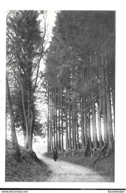 Viville - Chemin Creux.