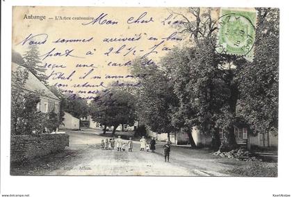 Aubange - L'Arbre centenaire.