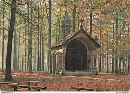 [-10%] BELGIQUE - Bruxelles - Auderghem Oudergem - Forêt de Soignes - ND de Bonne Odeur - Carte Postale