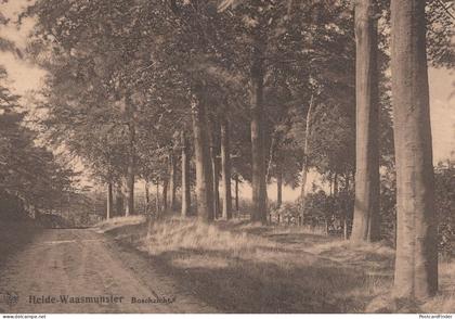 Lusthof Lekkerbek Hotel Pension Waasmunster Belgium Postcard