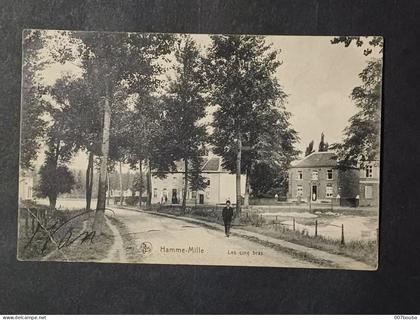HAMME-MILLE / LES CINQ BRAS / EDIT. STRUYF