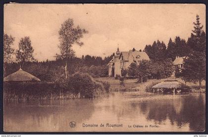 +++ CPA - Domaine de ROUMONT - Château de RONFAY  //