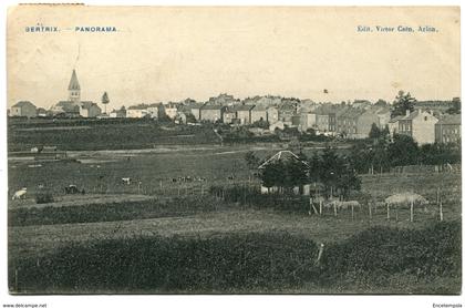 CPA - Carte Postale - Belgique - Bertrix - Panorama - 1911 (I10393)