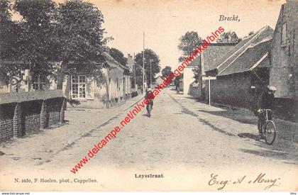 Leysstraat - F. Hoelen - Brecht