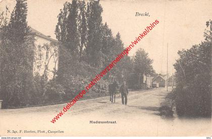 Mudoeusstraat - F. Hoelen - Brecht