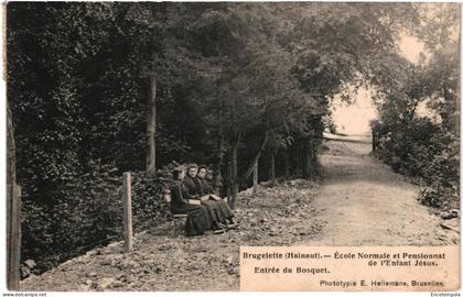 CPA Carte Postale Belgique Brugelette Ecole Normale et Pensionnat de l'enfant Jésus entrée du Bosquet VM99294