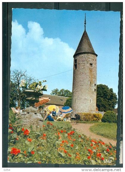 cpsm gf - Oteppe - L'Hirondelle - lm19756