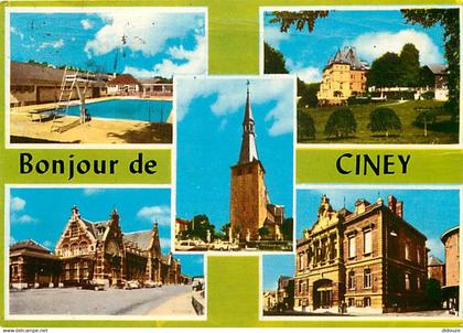 Belgique - Ciney - Multivues - Piscine - CPM - Voir Scans Recto-Verso