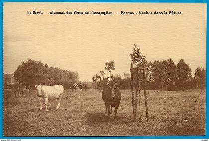 CPA Belgique Belgie Hainaut COMINES-WARNETON KOMEN-WAASTEN *PLOEGSTEERT* Alumnat LE BIZET Ferme