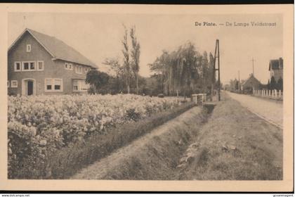 DE PINTE        DE LANGE VELDSTRAAT