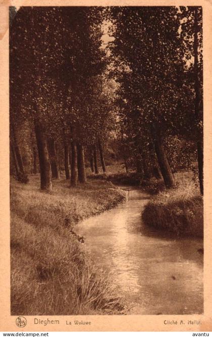 DIEGEM / DE WOLUWE